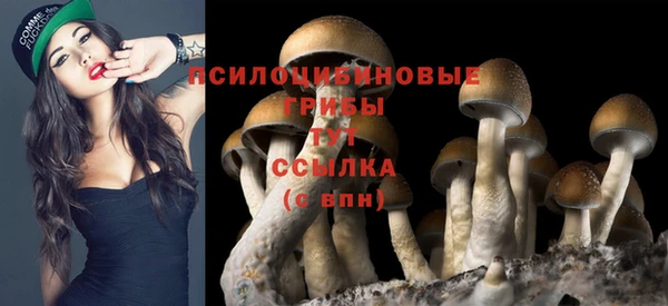 кристаллы Кулебаки