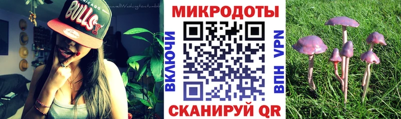 Купить закладки Моршанск Псилоцибиновые грибы ЛСД