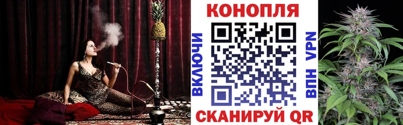 Шишки марихуана AK-47  Купить где  Моршанск 